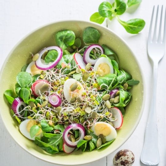 Spring Green Salad with Quail Eggs and Sprouts
