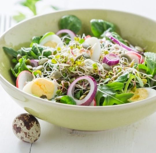 Spring Green Salad with Quail Eggs and Sprouts